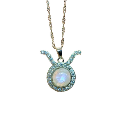 Sterling Silver Zodiac Sign Necklace